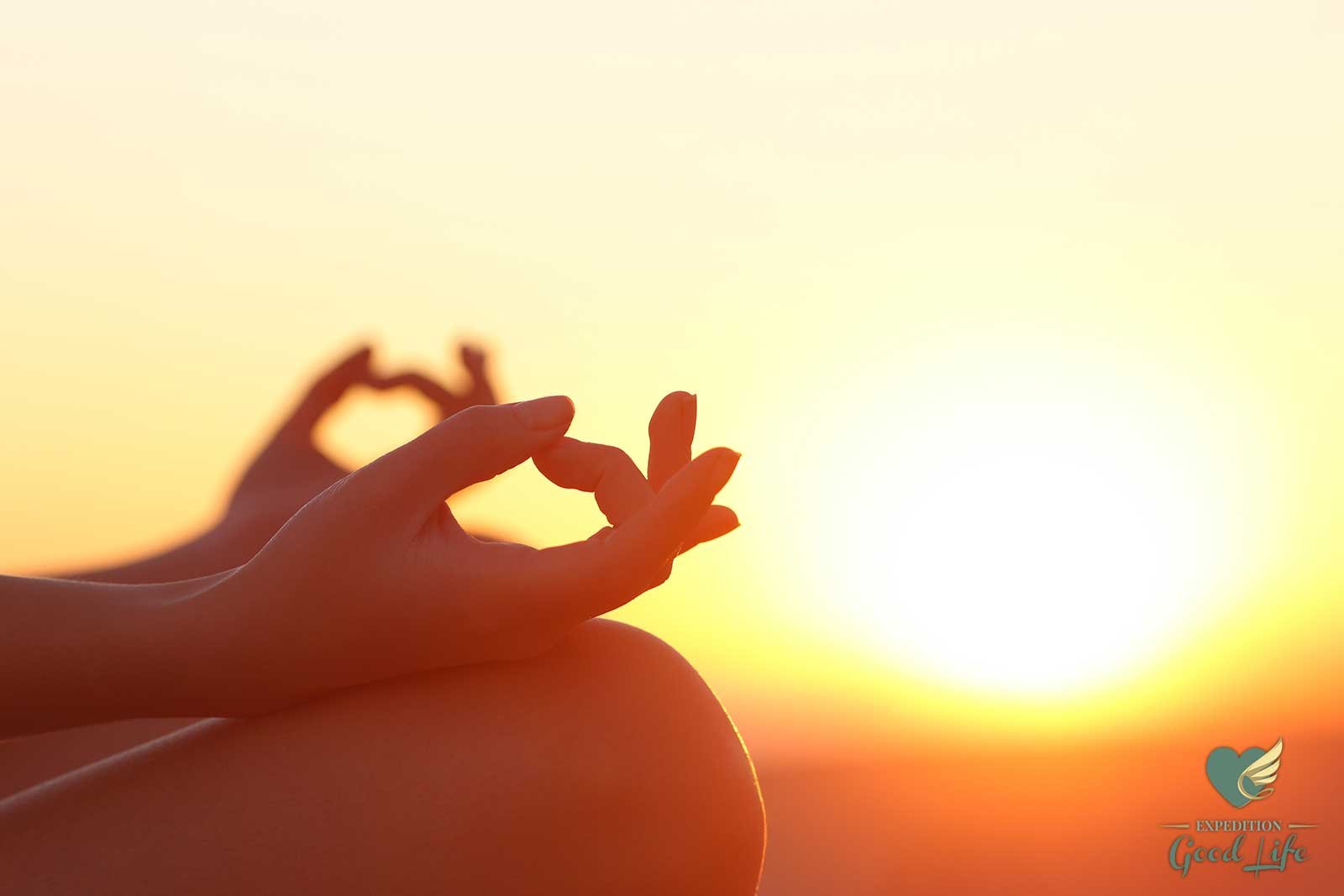 Workout on Plaground, Playground Yoga